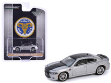 Load image into Gallery viewer, 2018 Dodge Charger SRT 392 Silver Metallic with Black Stripe &quot;Mr. Norm Heritage GSS Charger&quot; &quot;Hobby Exclusive&quot; Series 1/64 Diecast Model Car by Greenlight Greenlight
